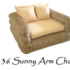 Sunny Rattan Arm Chair