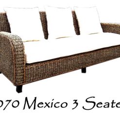 2070年墨西哥3个座位