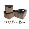 Palm Rattan Box