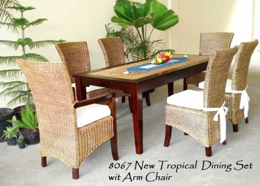 New Tropical Rattan Dining Set