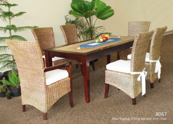 New Tropical Dining Set with Arm Chair