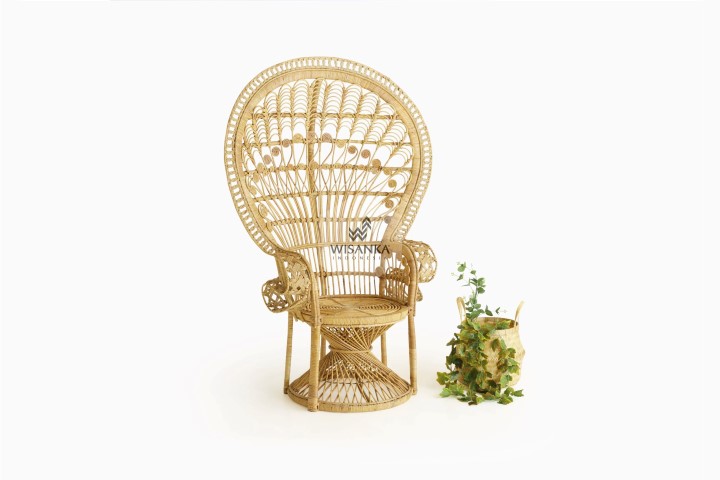 Peacock Rattan Arm Chair