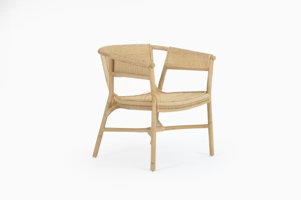 Kini rotan fauteuil