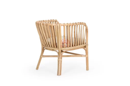 Magna Cane Arm Chair