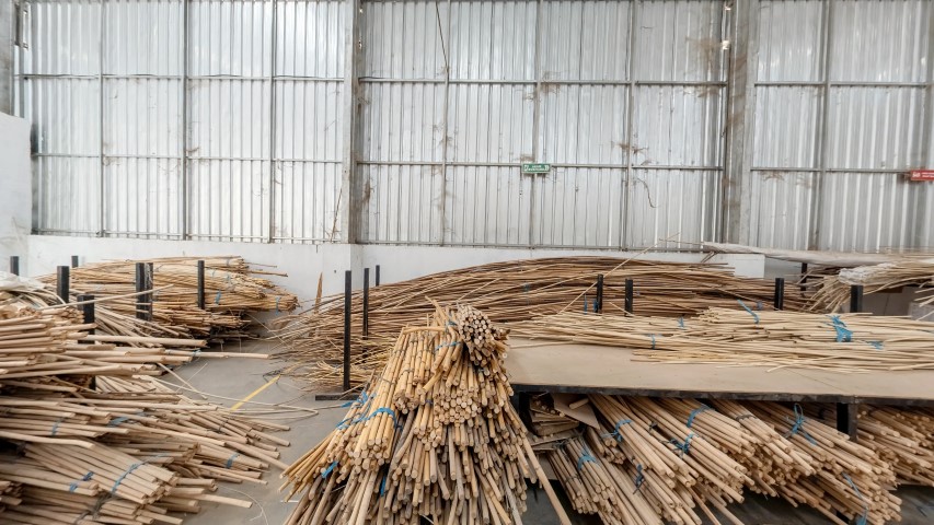 Natural Rattan as Raw Material