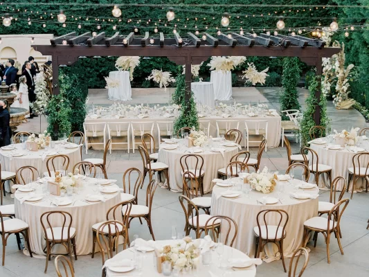 Supplier of Chair for wedding party