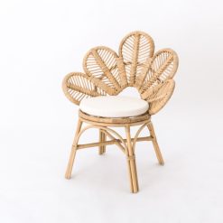 Butterfly Rattan Arm Chair